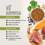 BeNatural Beef Kibble 5 1
