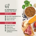 BeNatural Beef Kibble 5