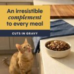 Cat Healthy Cravings Chicken 4