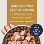 Cat Healthy Cravings Duck 3
