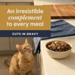 Cat Healthy Cravings Duck 4