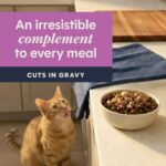 Cat Healthy Cravings Rabbit 4