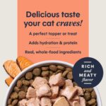Cat Healthy Cravings Salmon 3