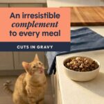 Cat Healthy Cravings Salmon 4