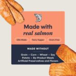 Cat Healthy Cravings Salmon 5