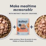 Cat Healthy Cravings Salmon 6