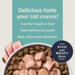Cat Healthy Cravings Tuna 3