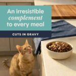 Cat Healthy Cravings Tuna 4
