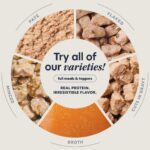 Cat Healthy Cravings Tuna 7