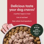 Dog Healthy Cravings Beef 3
