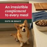 Dog Healthy Cravings Beef 4