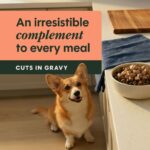 Dog Healthy Cravings Salmon 4
