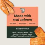 Dog Healthy Cravings Salmon 5