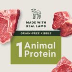 Dog Limited Ingredient Lamb 20LB 3