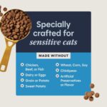 LID Turkey Dry Cat Food 4