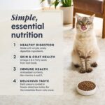 LID Turkey Dry Cat Food 5