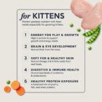 Original Chicken Kitten 3