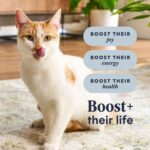 RB Indoor Health Chicken 5