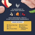 RB Indoor Health Chicken 6