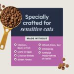 Limited Ingredient Diet Rabbit Dry Cat Food 4