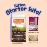FREEZE DRIED KITTEN 51