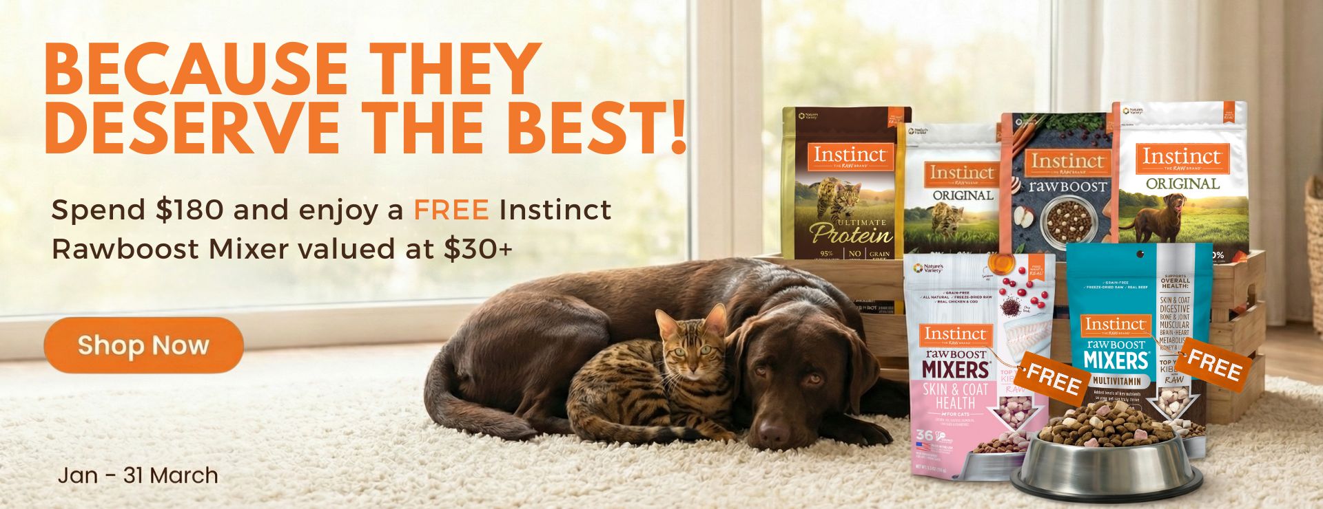 2026 Q1 Website promo v2