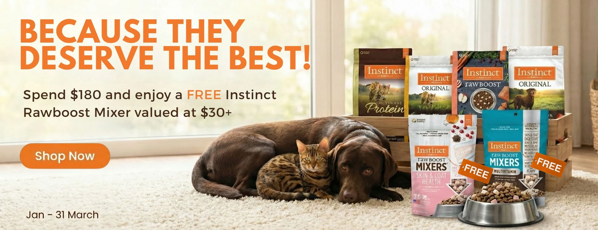 2026 Q1 Website promo