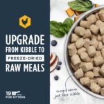 6171425 Raw Meals Chicken Cat 2