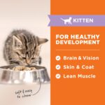 6171425 Raw Meals Chicken Cat 4