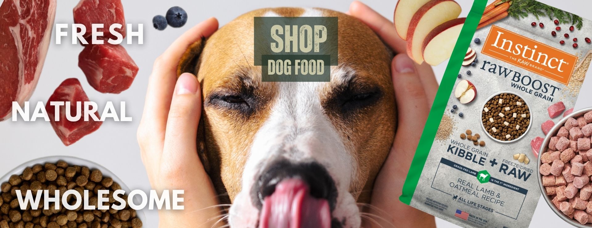 Home 3 DOG Banner 2026 v2