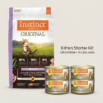 Kitten Starter Kit 2026