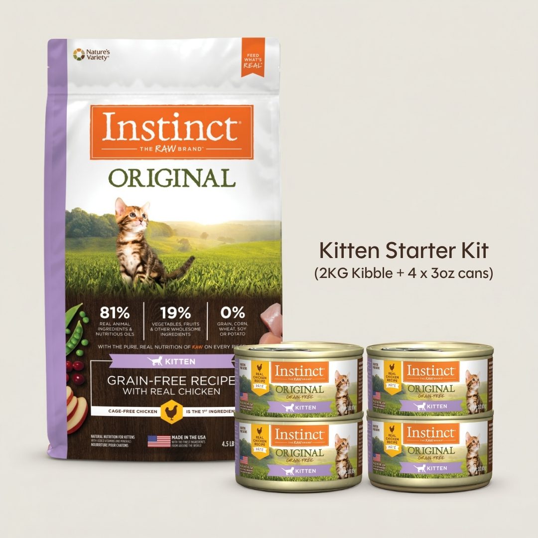 Kitten Starter Kit 2026