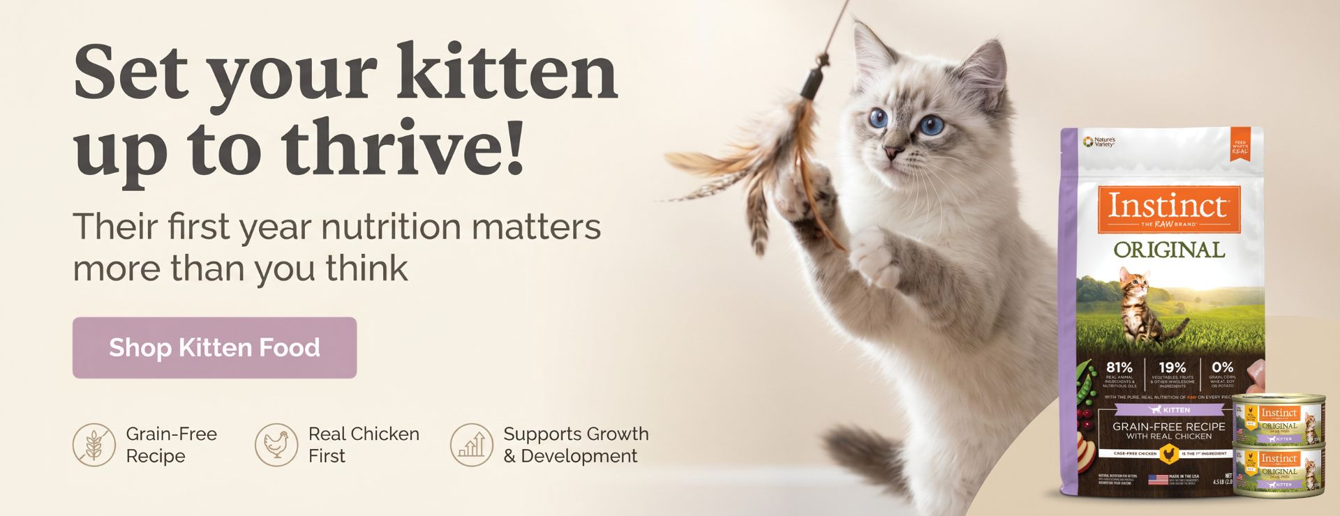 Home 1 Original Kitten Banner April 2026