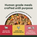 Freshly Crafted Meals Variety Pack 3